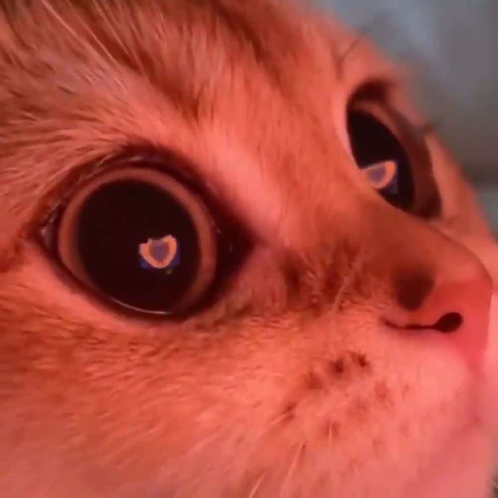 Meet your Posher, Jade